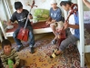 Musikprobe
