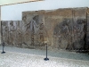 darius_xerxes